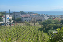 KAMAKURA winery, Domaine NATSUME