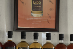 IMG_20250324_180232_1