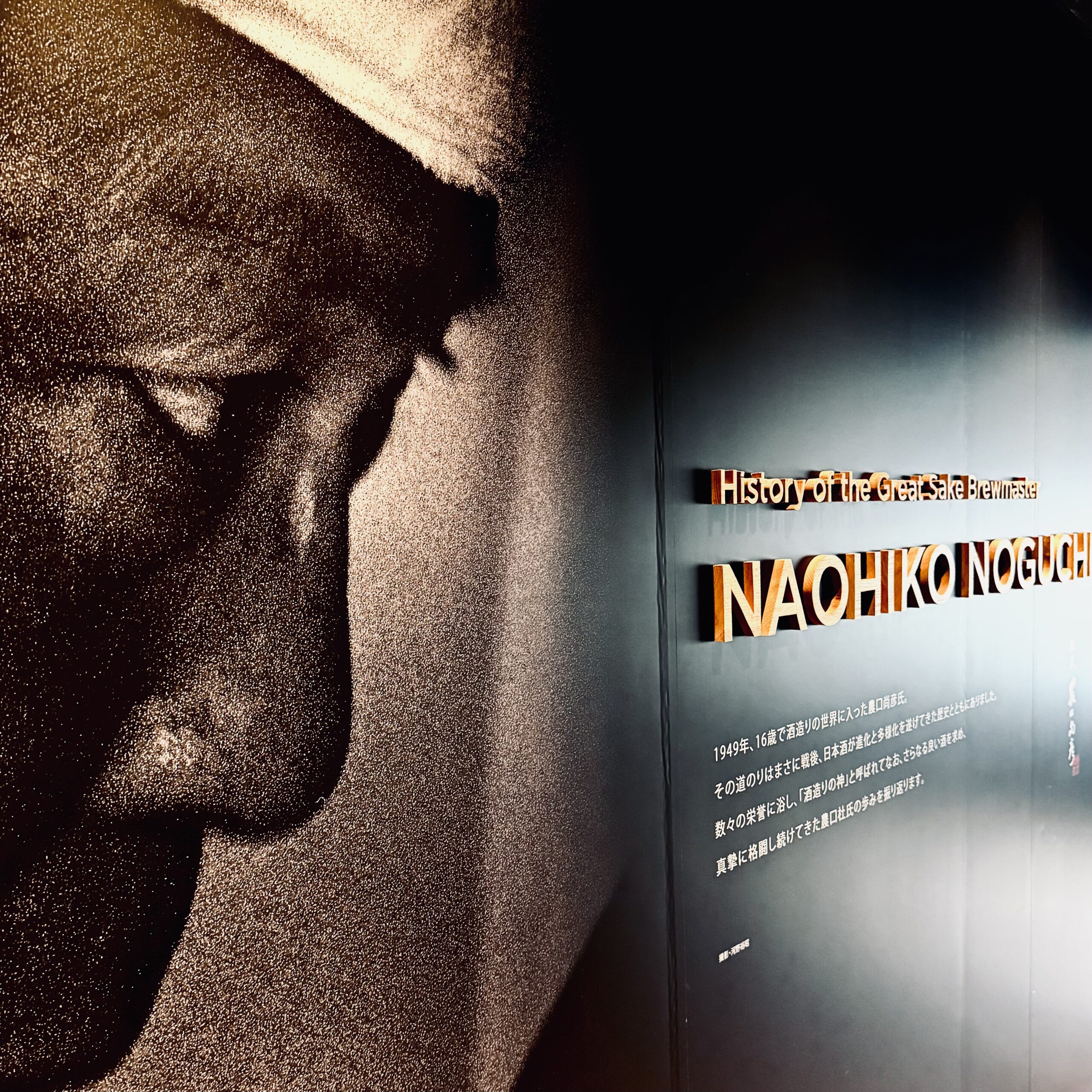 The Legacy of Naohiko Noguchi