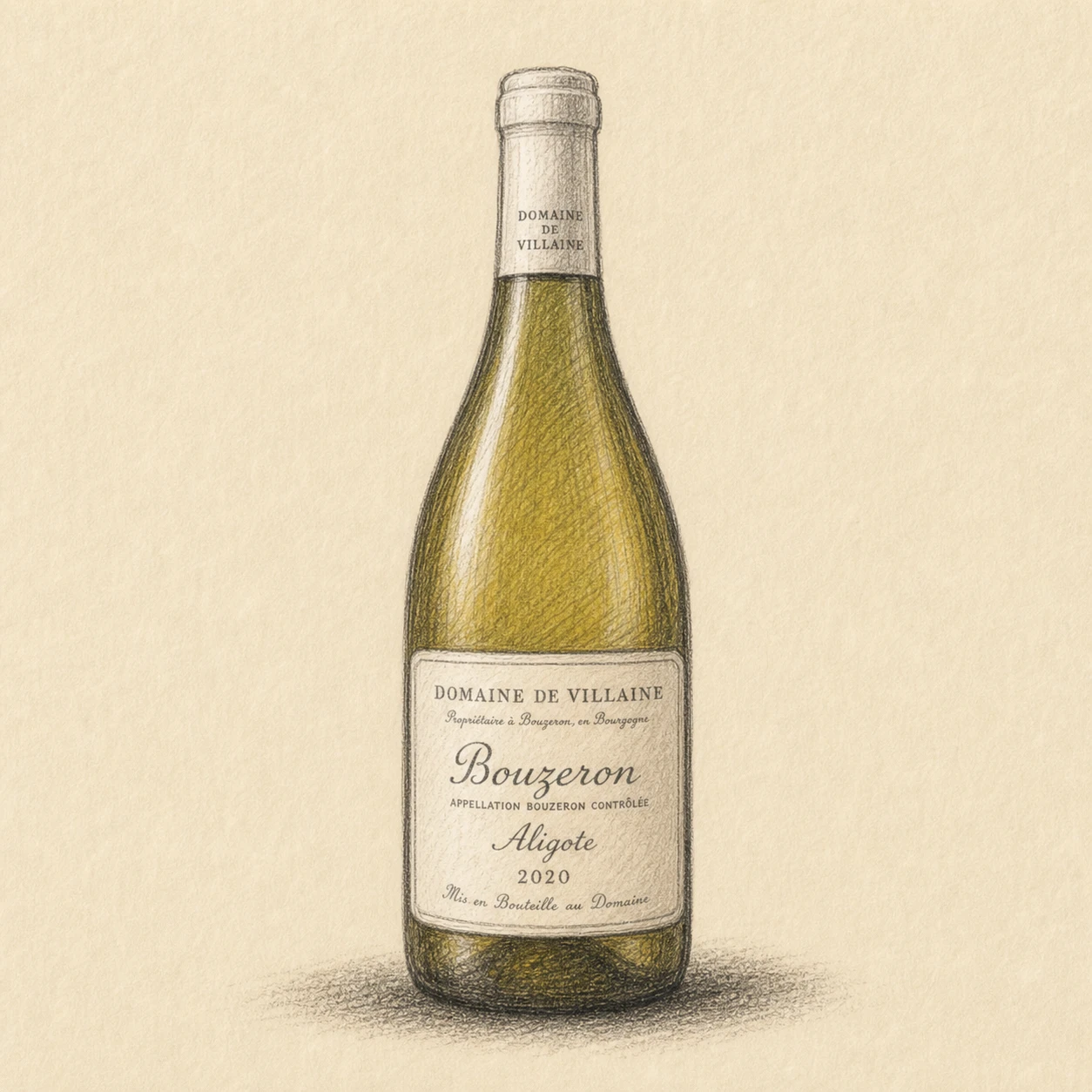 DOMAINE DE VILLAINE Bouzeron Aligote 2020 bottle illustration
