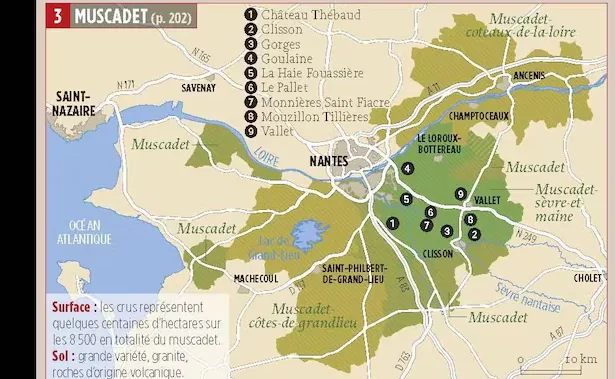 Map highlighting Muscadet vineyard regions around Nantes and the Loire River in France