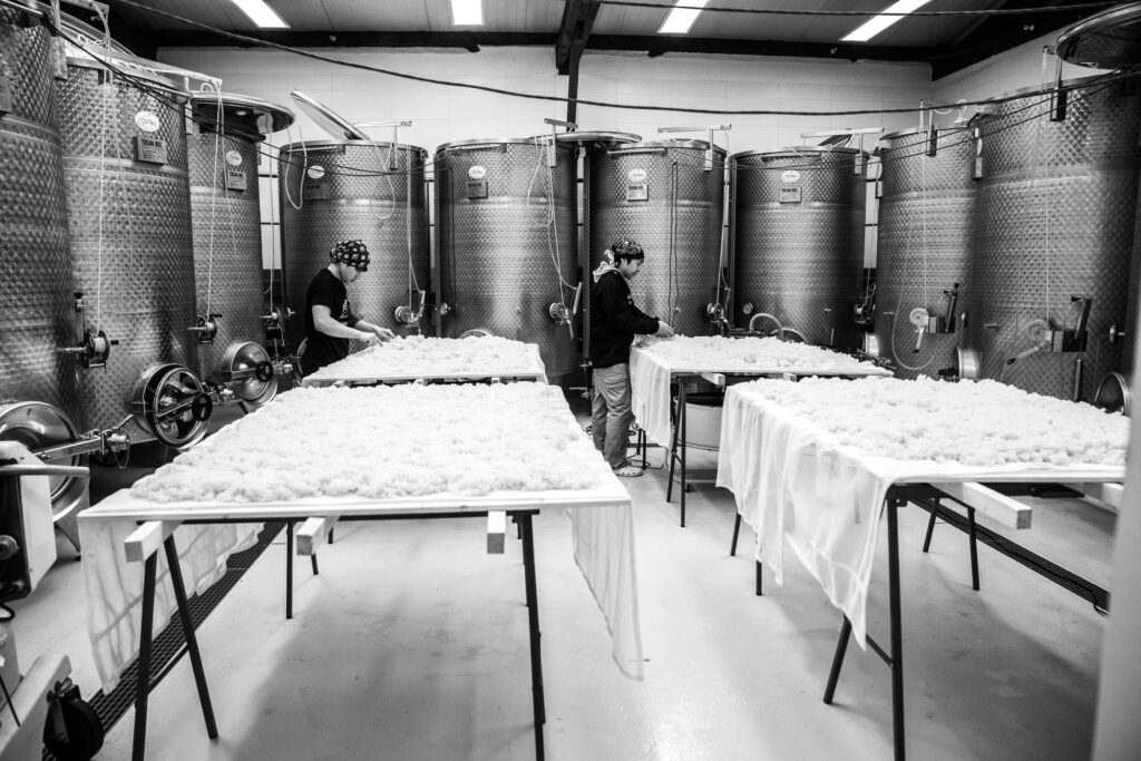 WAKAZE: The Game-Changing Sake Startup Brewing Tradition into a Global Trend