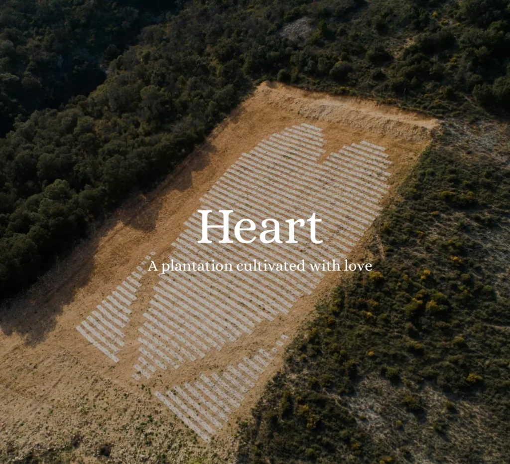 Aerial view of a vineyard shaped like a heart with text 'Heart A plantation cultivated with love'