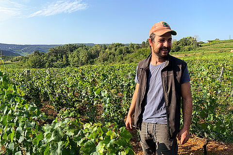 DOMAINE DECELLE