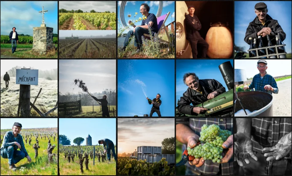 Collage of fifteen photos showing vineyard scenes, workers, and winemaking processes