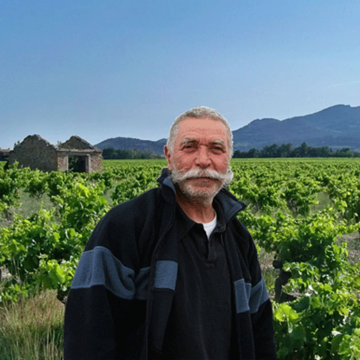DOMAINE LE SANG DES CAILLOUX