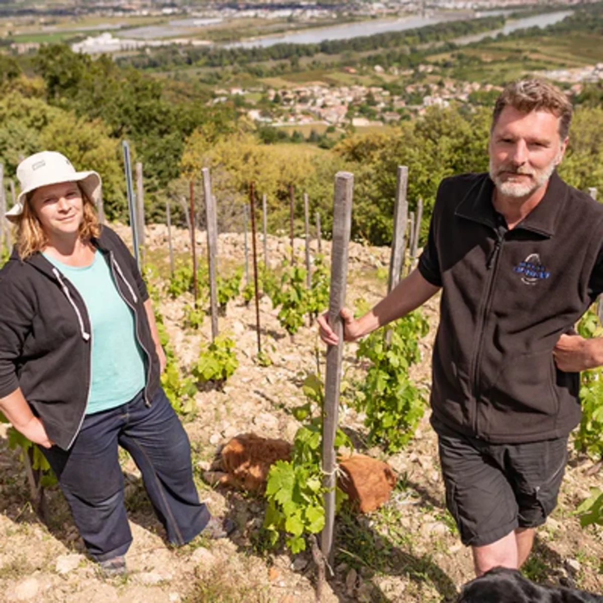 DOMAINE LIONNET