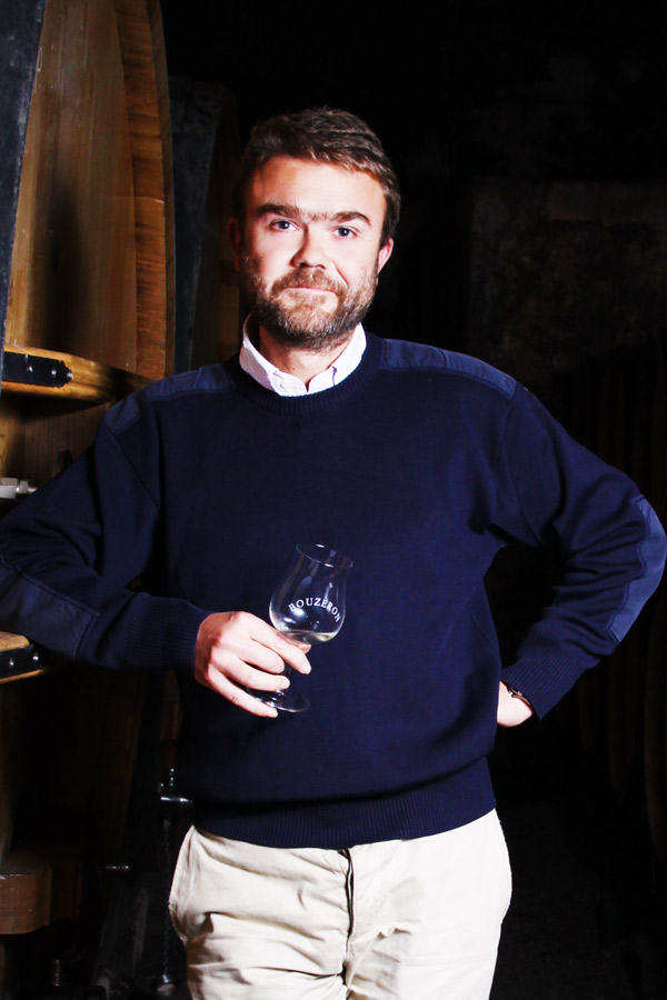 DOMAINE DE VILLAINE