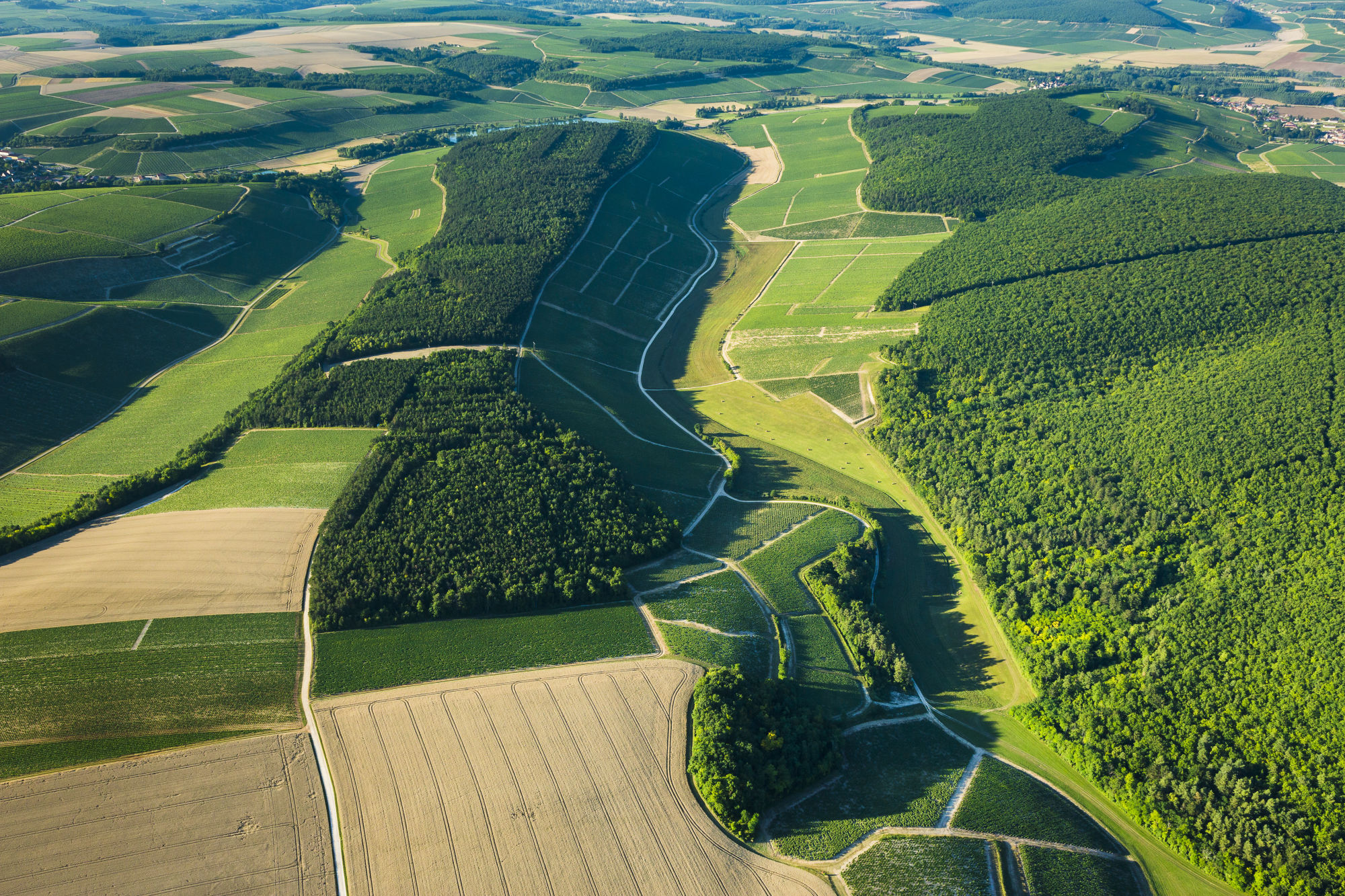 DOMAINE DE L’ENCLOS Chablis 1er Cru Vau de Vey 2022