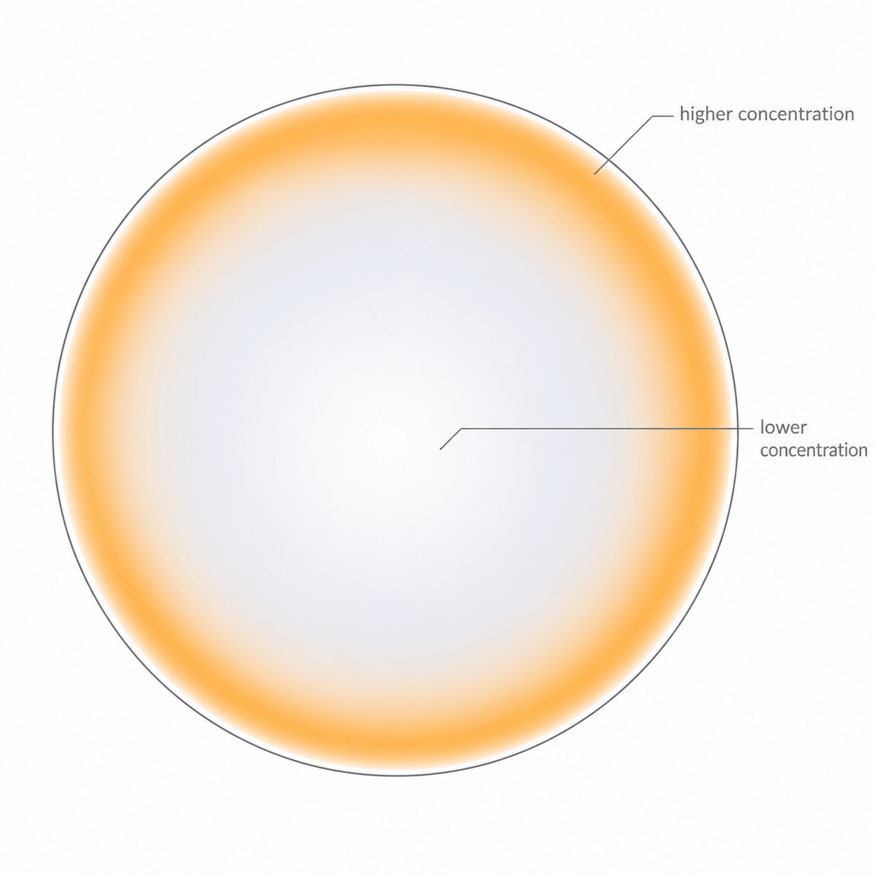 Conceptual diagram: a top-down view of a wine glass rim. The warm-toned ring along the rim represents higher ethanol vapor concentration; the cool tone at the center represents lower concentration.