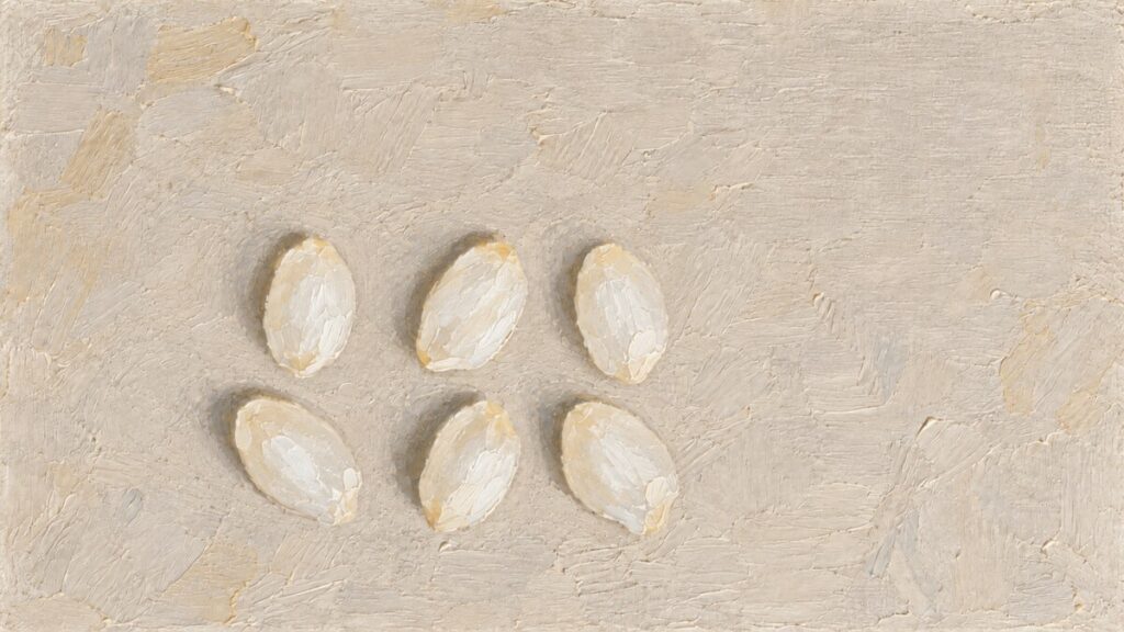 Same Rice, Six Designs