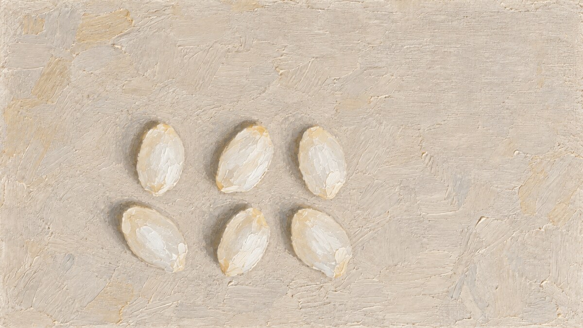 Same Rice, Six Designs