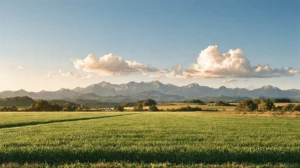 Watercolor landscape of rice fields and distant mountains beneath a blue sky