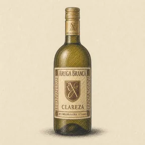 Charcoal sketch of the bottle: ARUGA BRANCA CLAREZA 2023 750ml