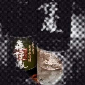 Moving dot illustration of the bottle photo from “Why Moriizo Shochu is Known as Japan’s “Phantom Spirit””; a drifting circle reveals the original picture