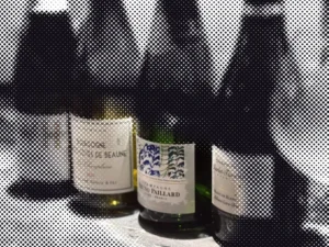 Moving dot illustration of the bottle photo from “Basic Compatibility of Sushi with Wine (Champagne)”; a drifting circle reveals the original picture