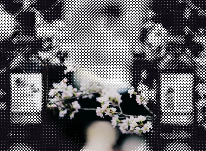 Sakurao and Togouchi, The Elegance of Twin Terroirs