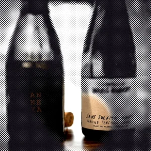 Moving dot illustration of the bottle photo from “Champagne Waris Hubert”; a drifting circle reveals the original picture