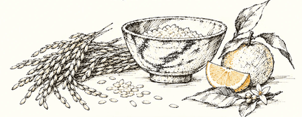 Illustration of rice, a bowl and citrus
